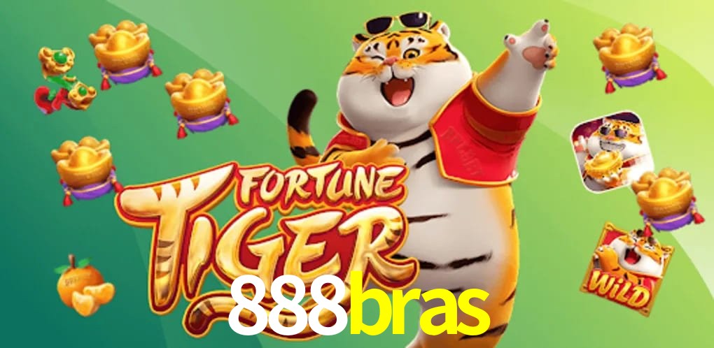 Experiência VIP 888bras